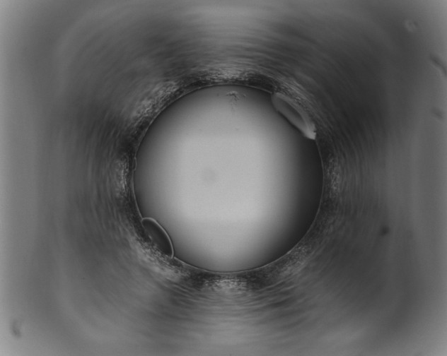 X0000099930546200806061456