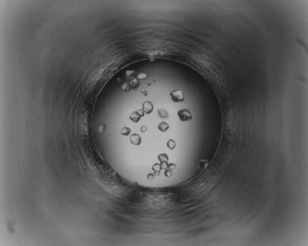 X0000099930547200806061456