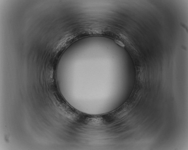 X0000099930548200806061456