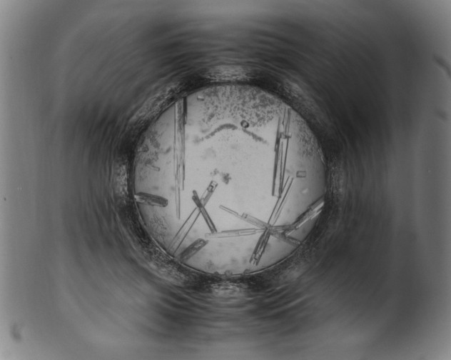 X0000099930549200806061456