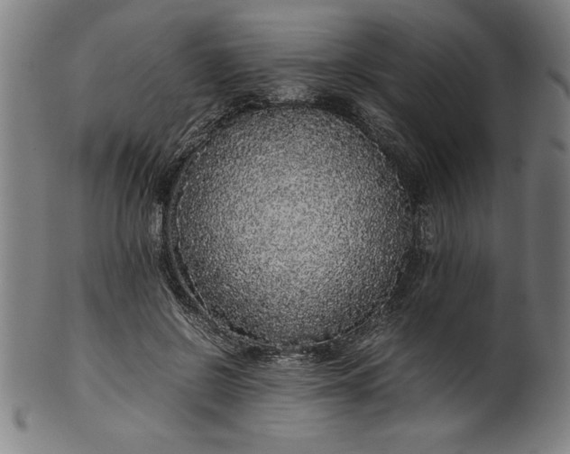 X0000099930550200806061456