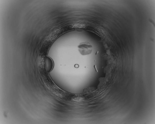 X0000099930551200806061456