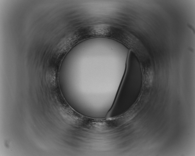 X0000099930552200806061456