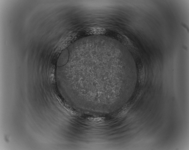 X0000099930553200806061456