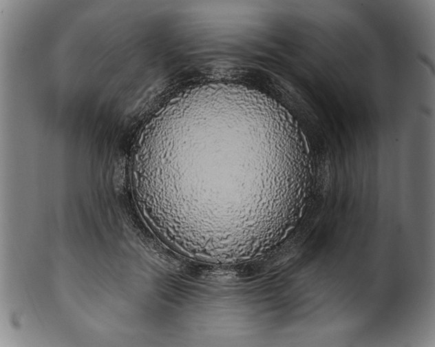 X0000099930554200806061456