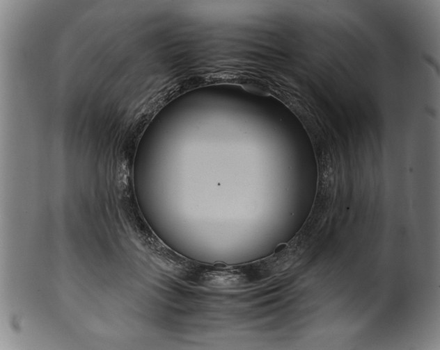 X0000099930555200806061456