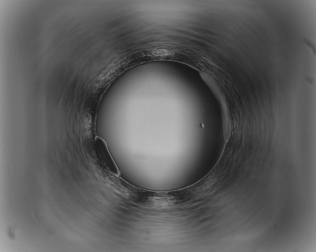 X0000099930556200806061457