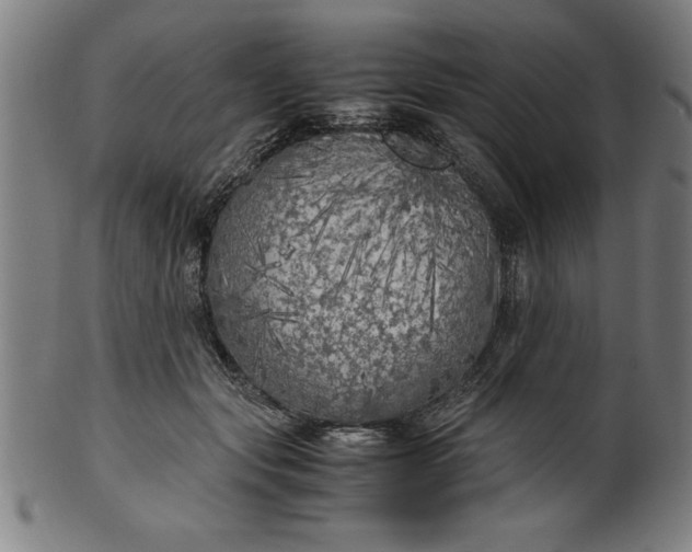 X0000099930557200806061457