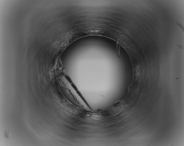 X0000099930559200806061457