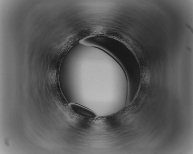 X0000099930560200806061457