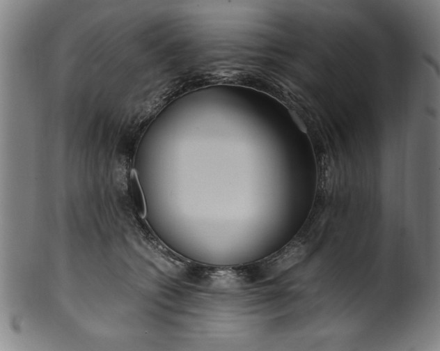 X0000099930562200806061457