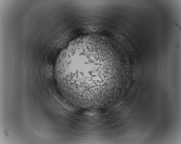 X0000099930563200806061457