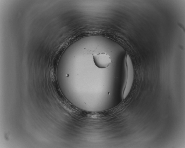 X0000099930564200806061457