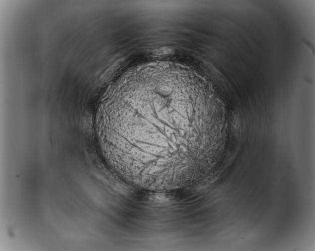 X0000099930565200806061457