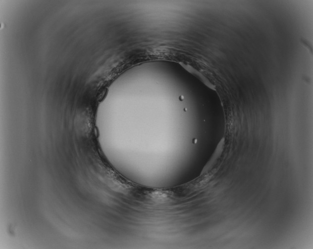 X0000099930566200806061457