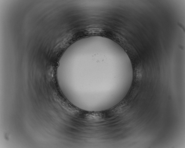 X0000099930567200806061457