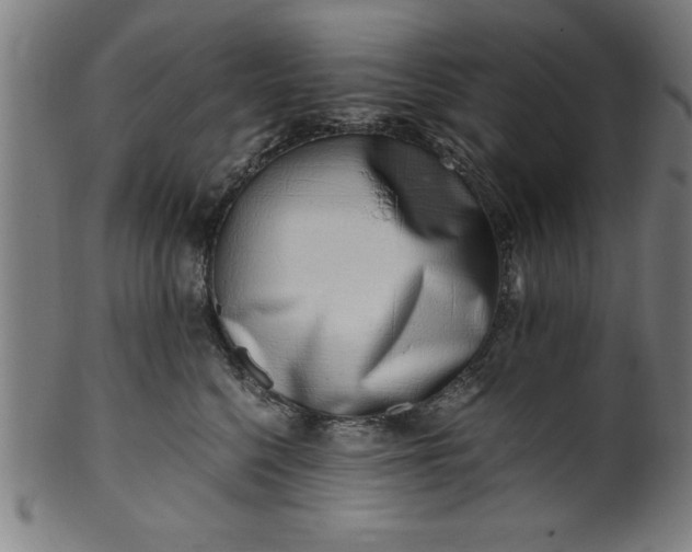 X0000099930568200806061457