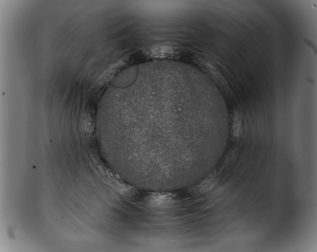 X0000099930569200806061457