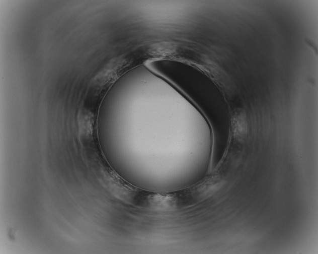 X0000099930570200806061457