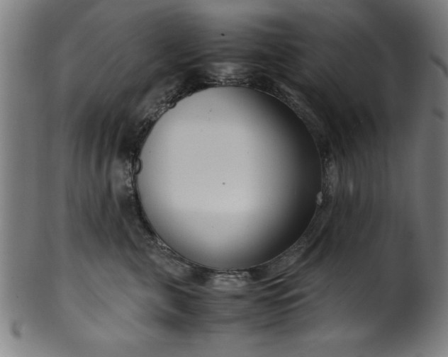 X0000099930571200806061457