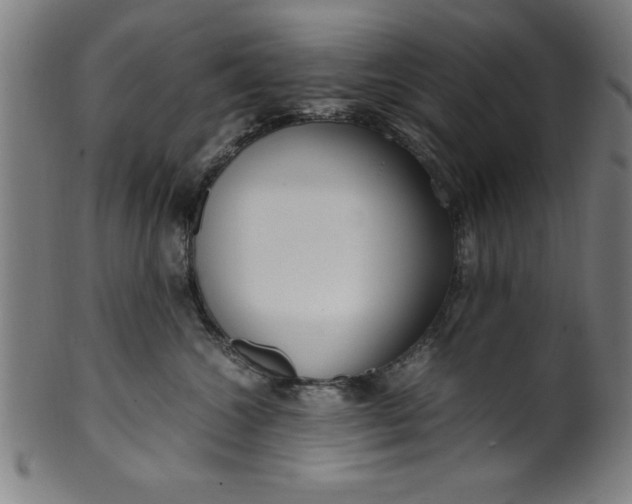 X0000099930572200806061457