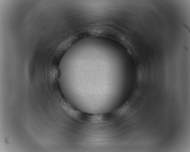 X0000099930574200806061457