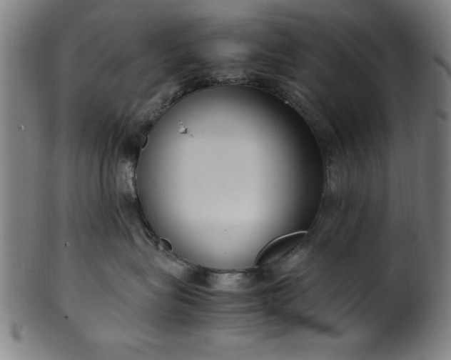 X0000099930575200806061457