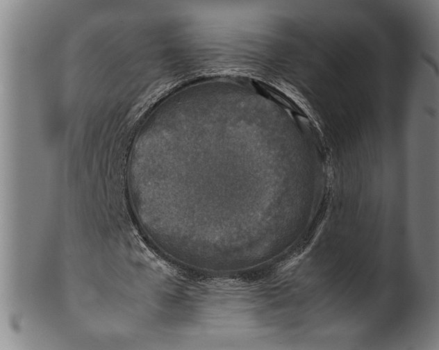 X0000099930577200806061456