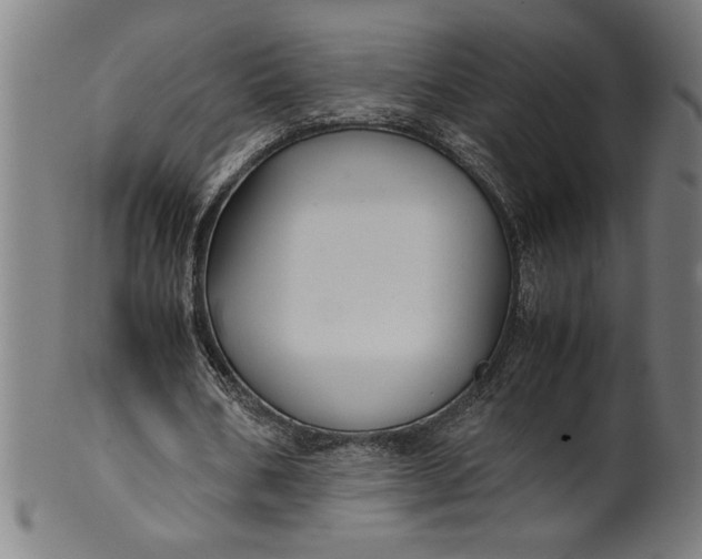 X0000099930578200806061456