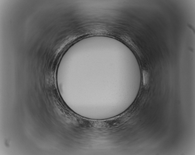 X0000099930579200806061456