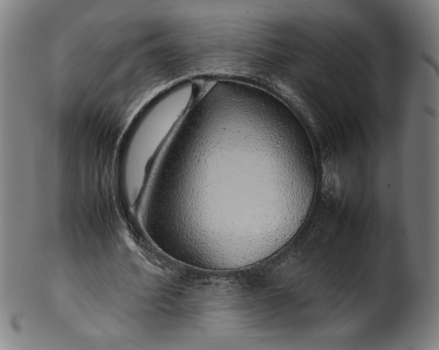 X0000099930580200806061456