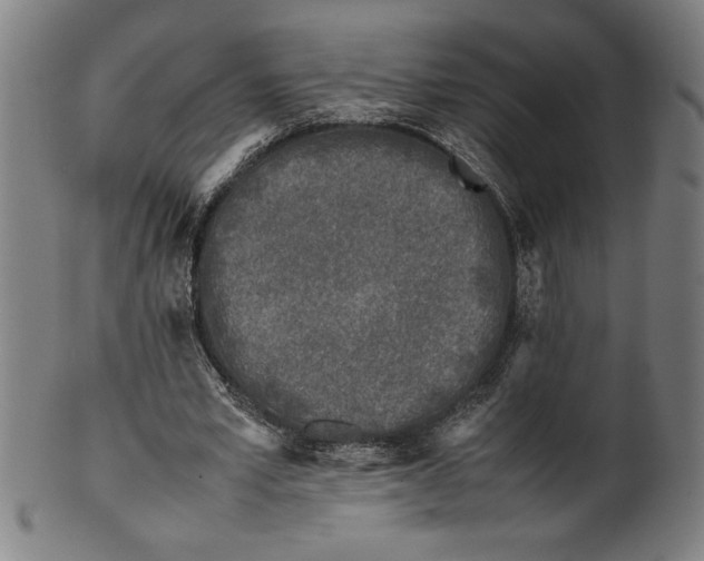 X0000099930581200806061456