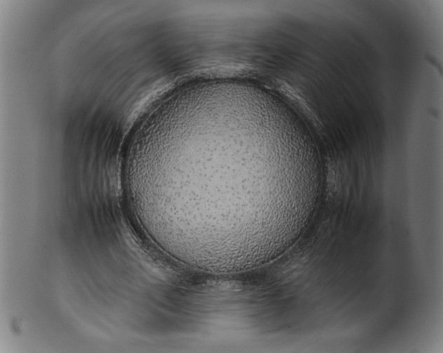 X0000099930582200806061456