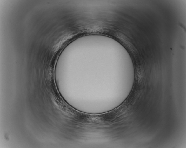 X0000099930583200806061456