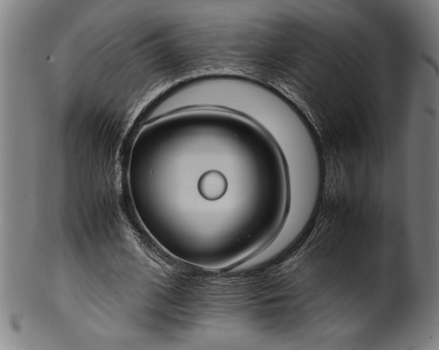 X0000099930584200806061456