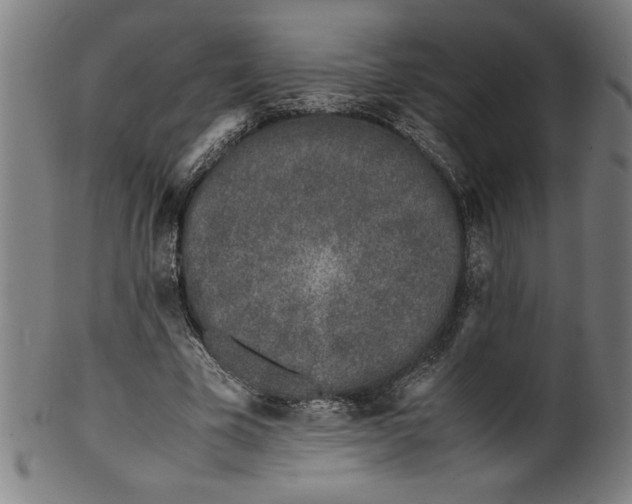 X0000099930585200806061456