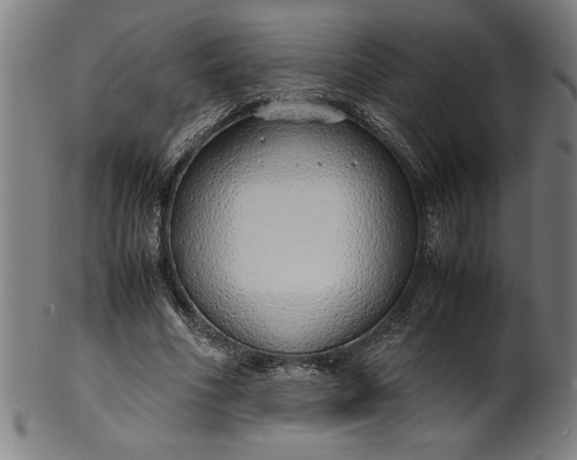 X0000099930586200806061456