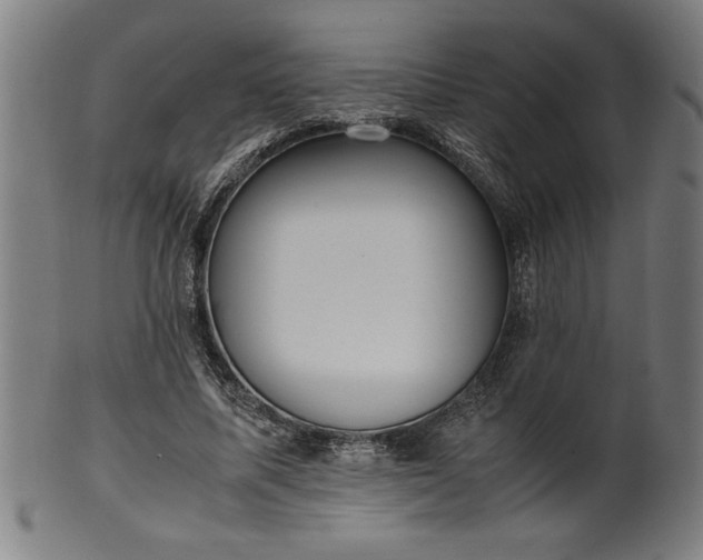 X0000099930587200806061456