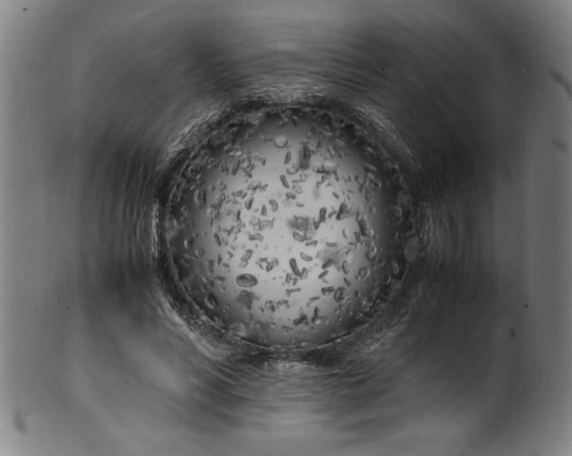 X0000099930590200806061456