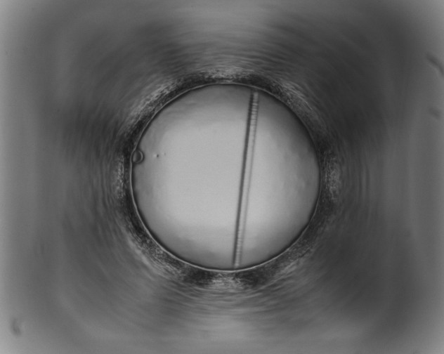 X0000099930591200806061456