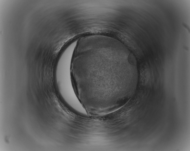 X0000099930592200806061456