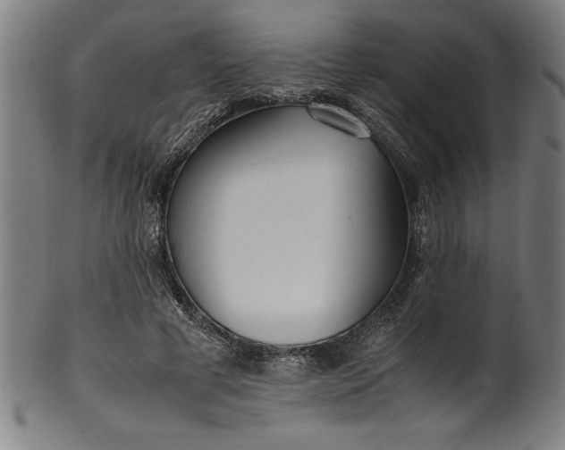 X0000099930593200806061456