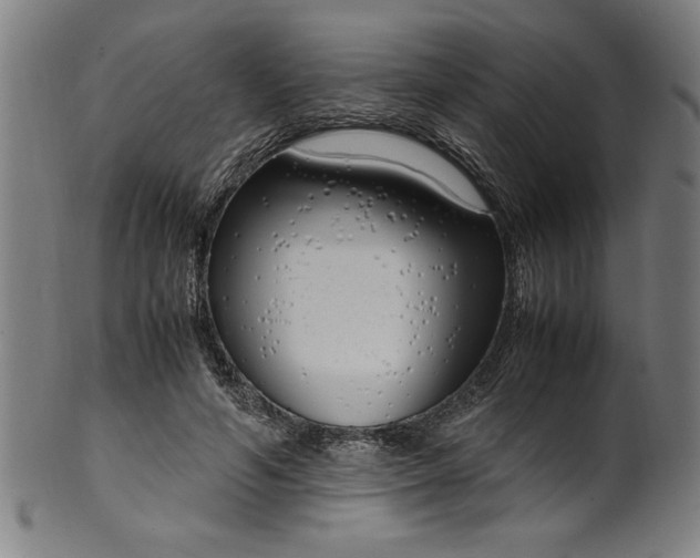 X0000099930594200806061456