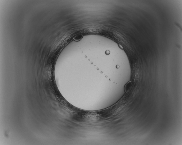 X0000099930595200806061456