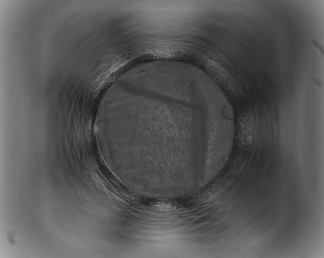 X0000099930596200806061456