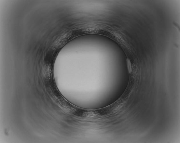 X0000099930597200806061456