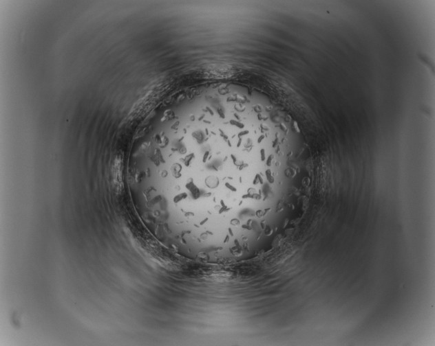 X0000099930598200806061456