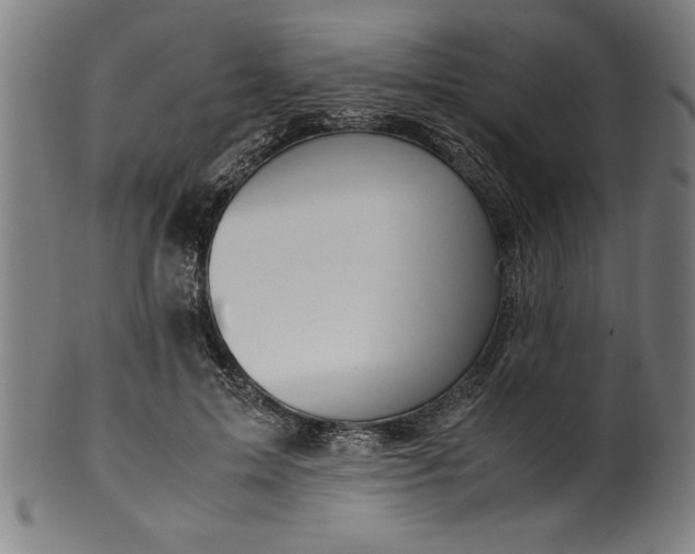 X0000099930599200806061456