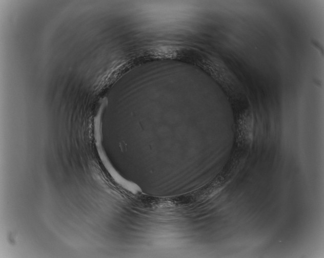 X0000099930600200806061456