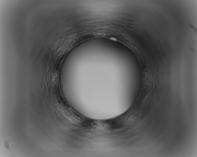 X0000099930601200806061456